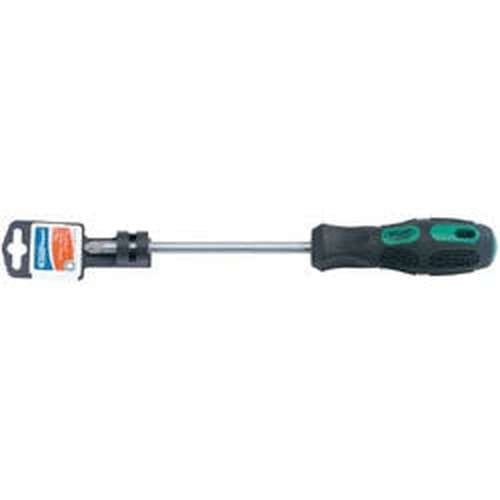 Draper Draper Pz Type Screwdriver, No.2 X 100Mm Dr-40038