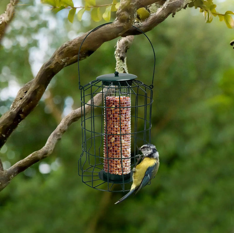 tooltime.co.uk Bird Feeders Set of 2 Hanging Bird Feeders with Squirrel Proof Cages for Peanuts and Fatballs