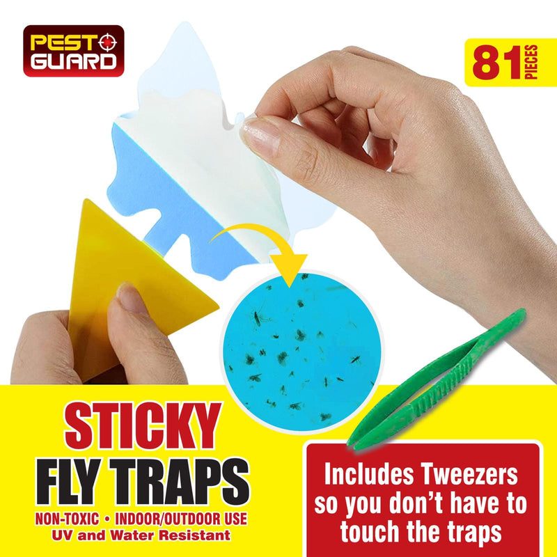 tooltime-DGI Sticky Fly Traps 81 Piece Sticky Fly Traps for Indoor or Outdoor Use