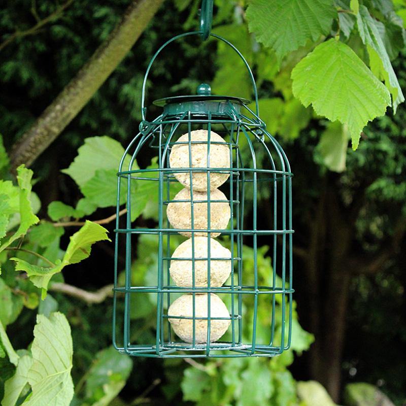 tooltime Squirrel Proof Hanging Garden Wild Bird Feeders - Seeds Peanuts Fat Balls